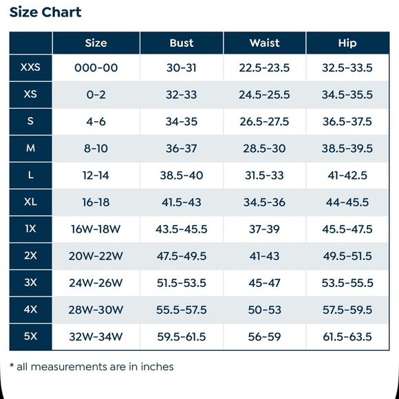 Antthony Designs Printed Mesh Bishop-Sleeve Patio Dress
Size 1X NWT - Picture 7 of 11